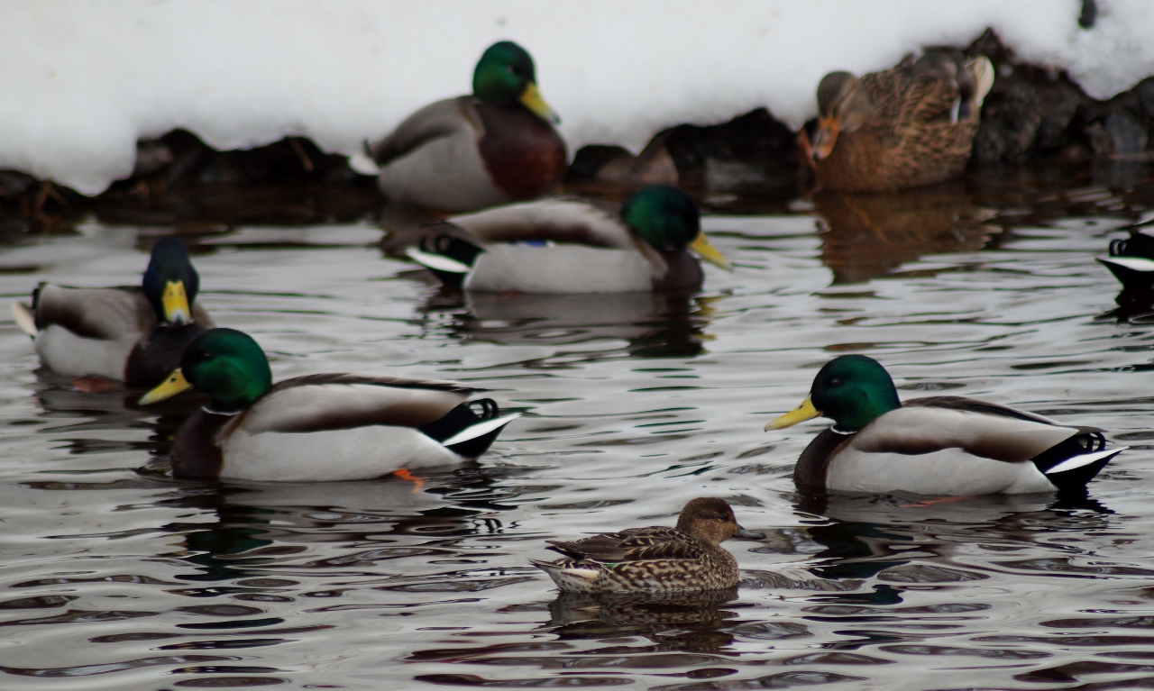 Valokuvaaja: Maarit Siitonen