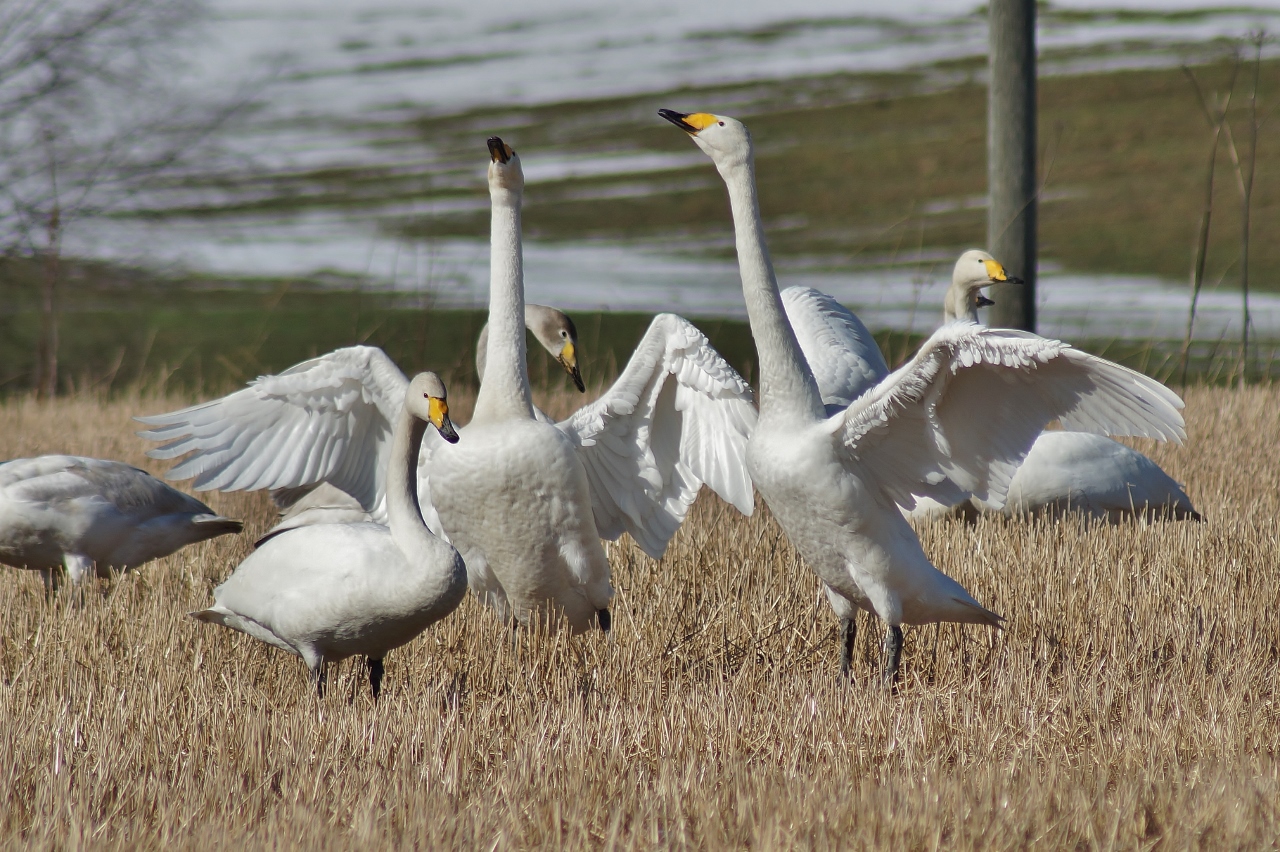 Valokuvaaja: Maarit Siitonen