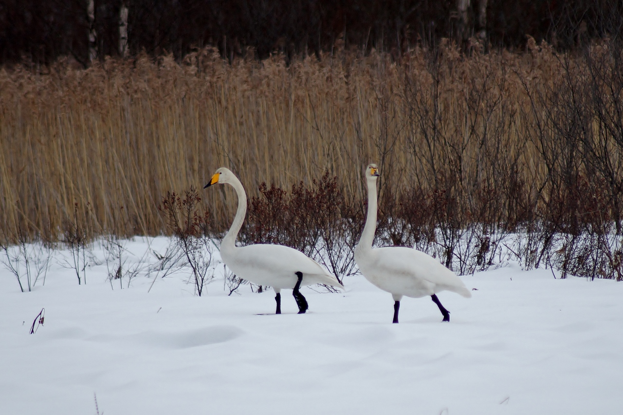 Valokuvaaja: Maarit Siitonen