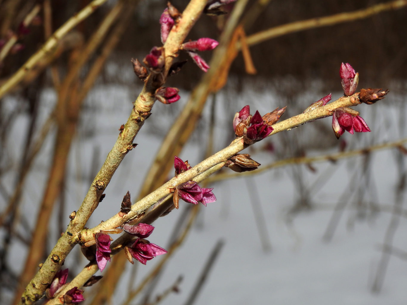 Valokuvaaja: Paavo Siukonen