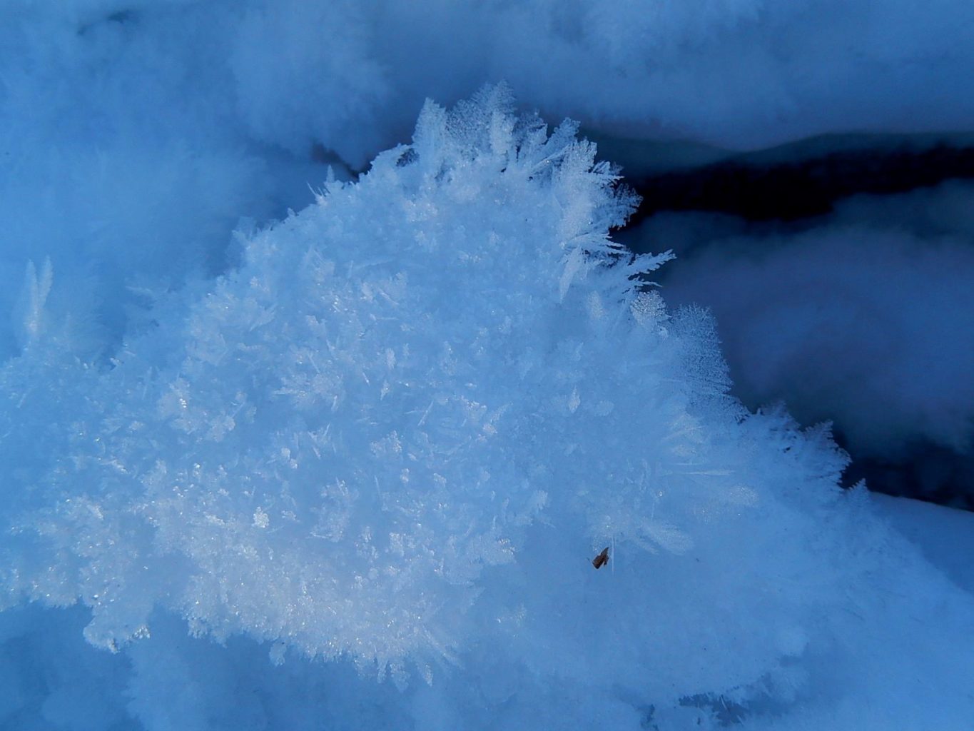 Valokuvaaja: Pirkko Siukonen