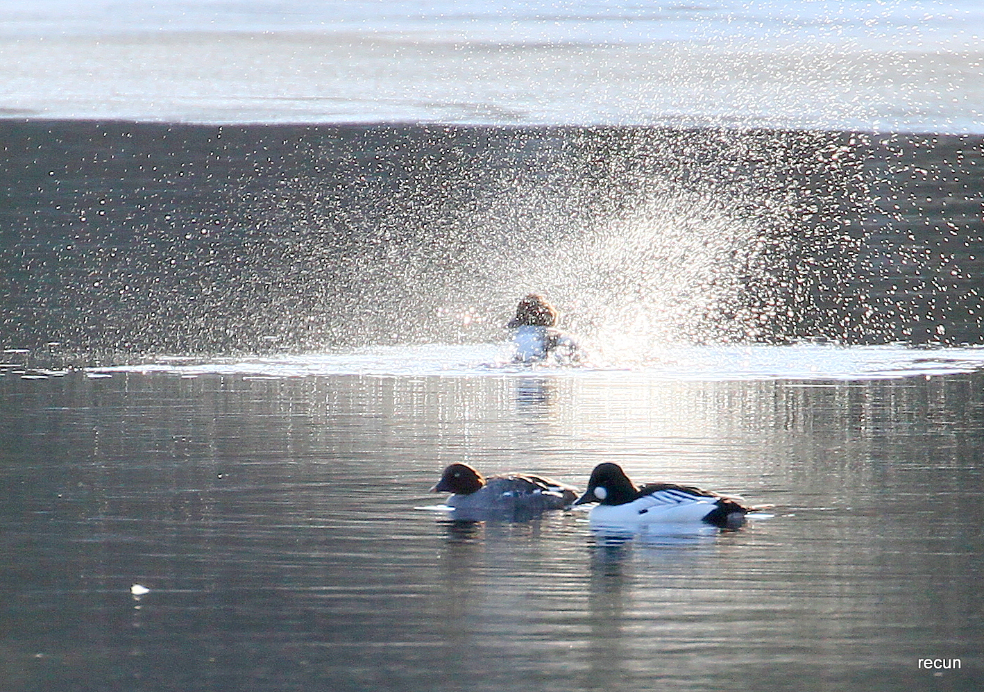 Valokuvaaja: reijo lehtonen