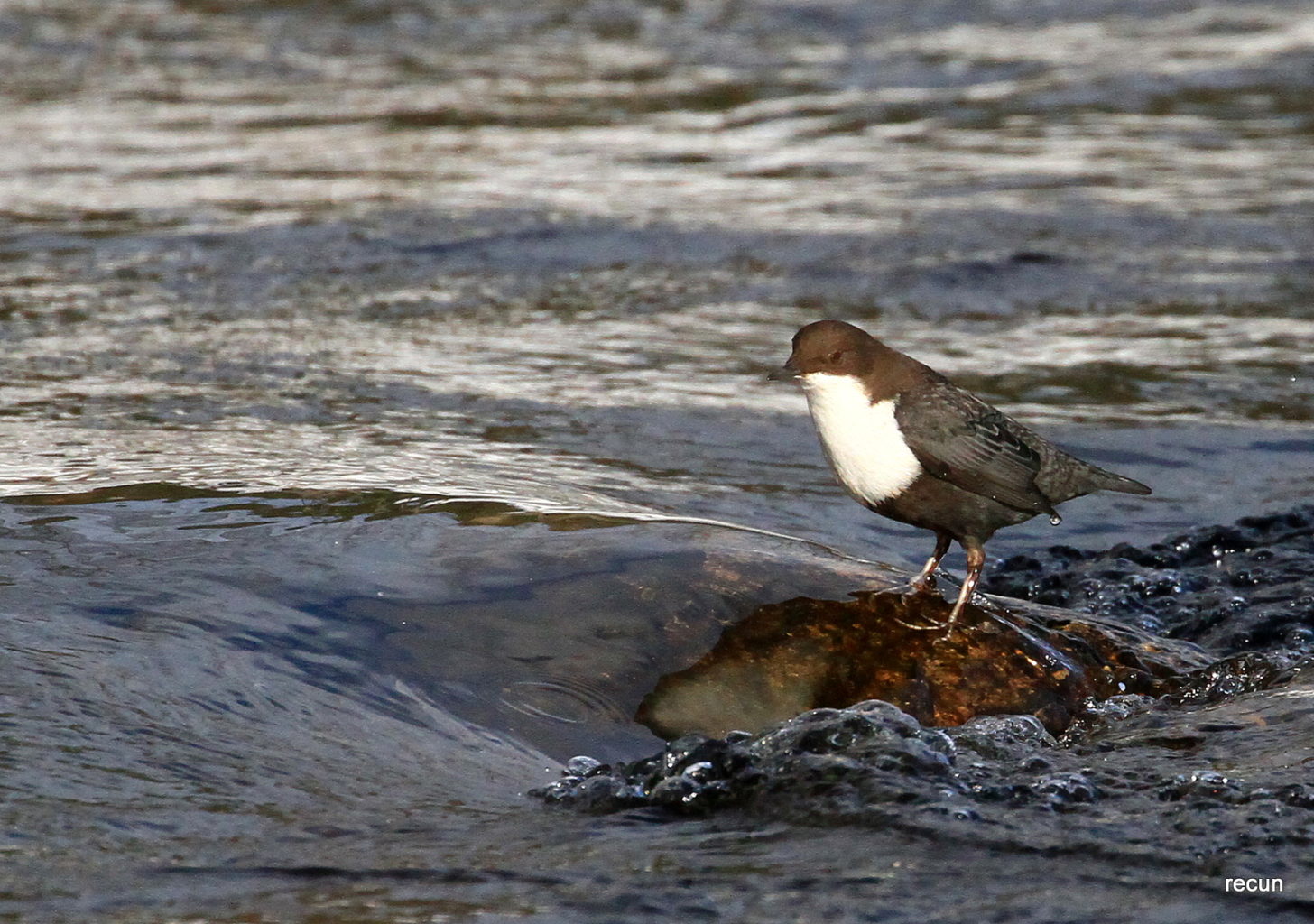 Valokuvaaja: reijo lehtonen