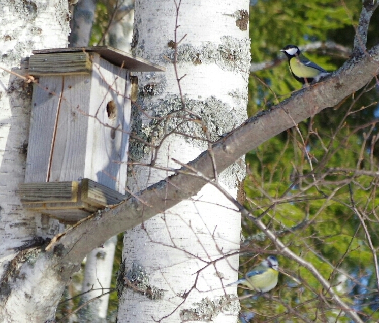 Valokuvaaja: TUULA MAKKONEN