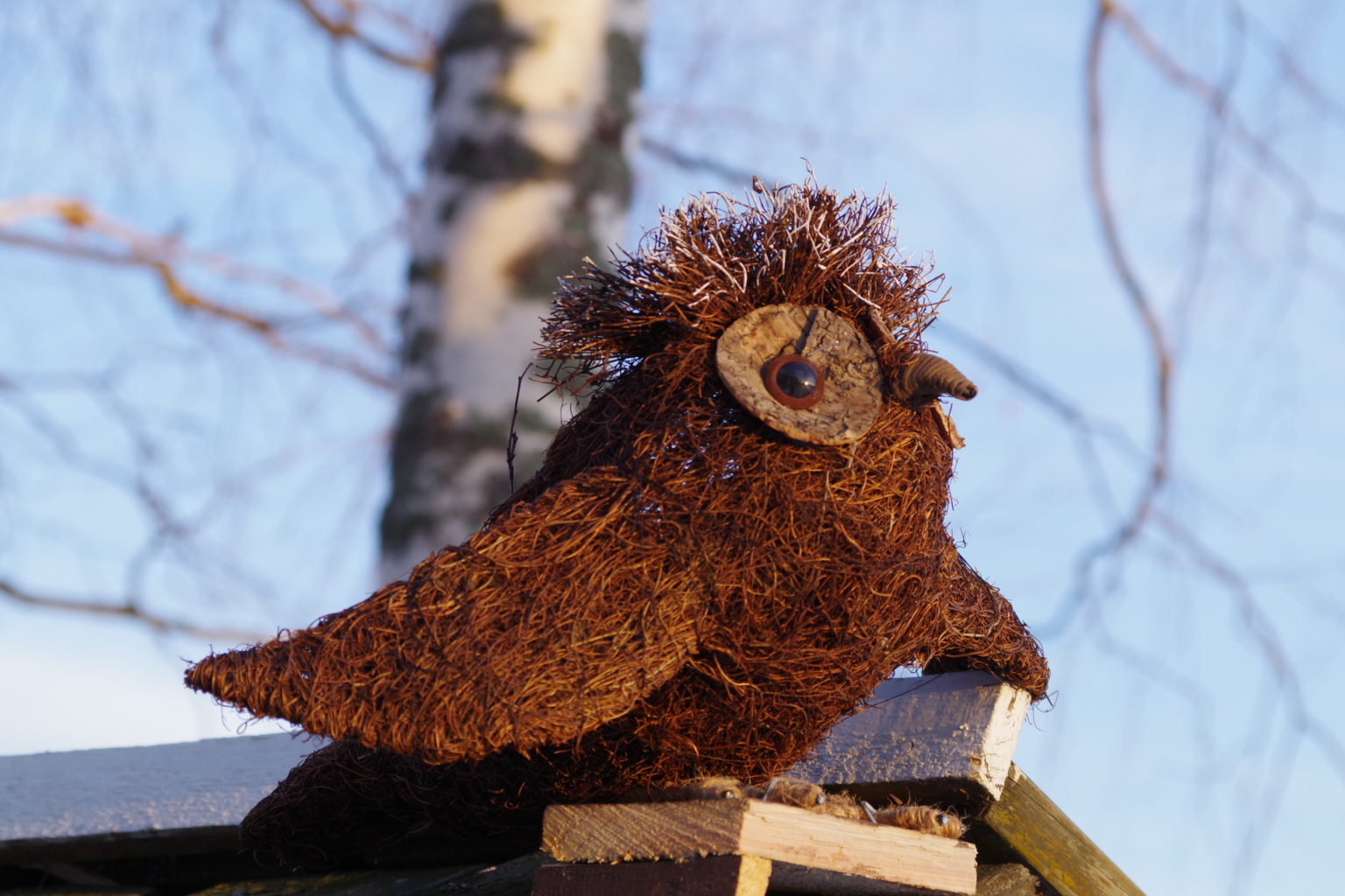 Valokuvaaja: TUULA MAKKONEN