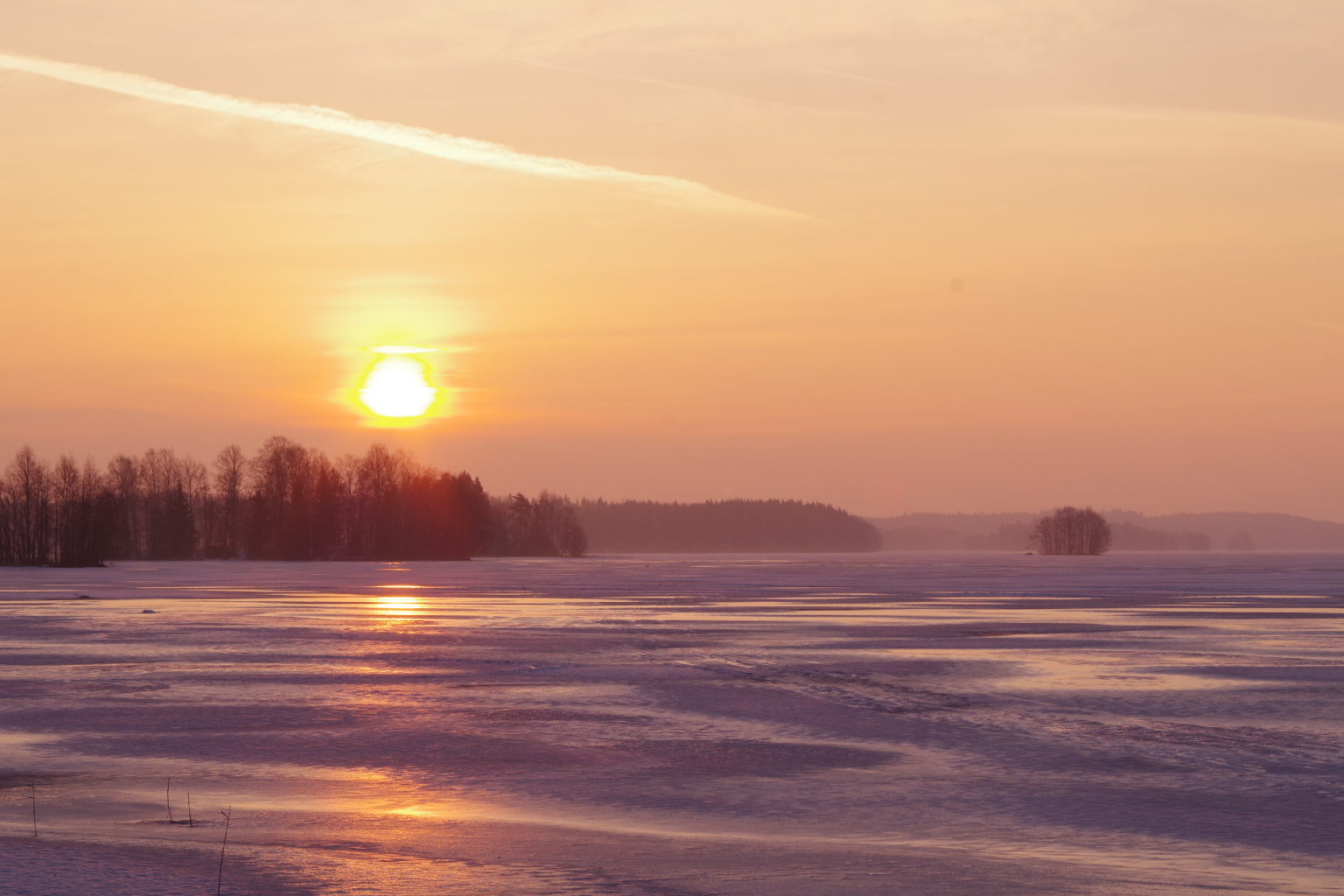 Valokuvaaja: Tuula Makkonen Valokuvaaja: Tuula Makkonen