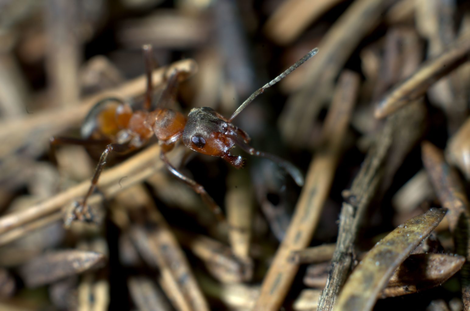 Valokuvaaja: Jouni Hakonen Valokuvaaja: Jouni Hakonen