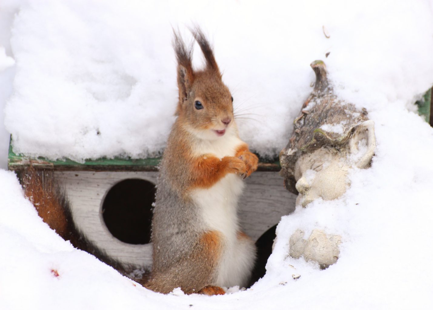 Valokuvaaja: Irja lehtinen