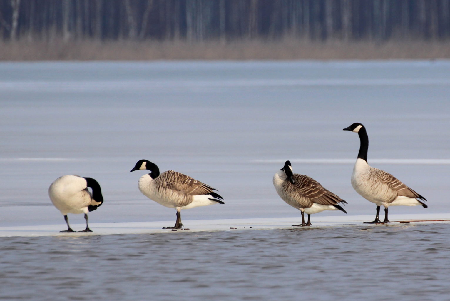 Valokuvaaja: Irja Lehtinen