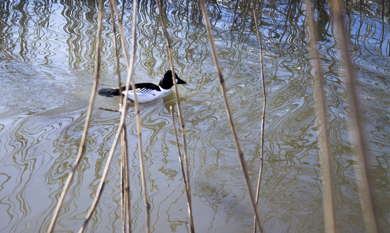 Valokuvaaja: Essi Nisonen
