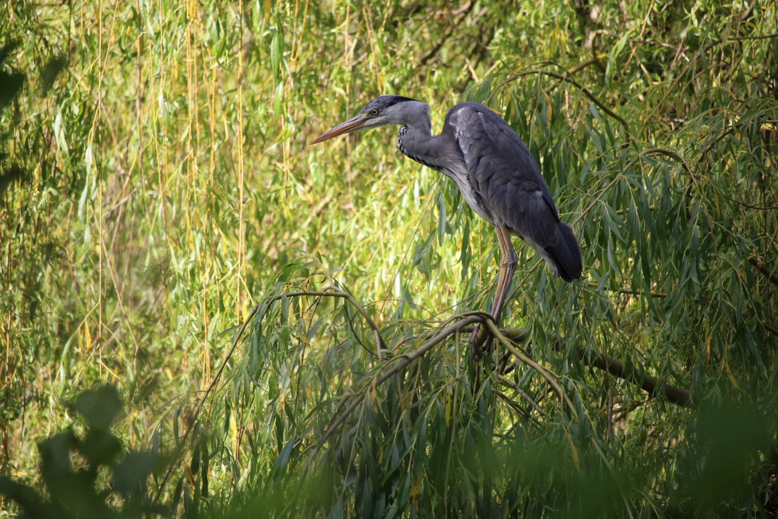 Valokuvaaja: Benjamin Sällström