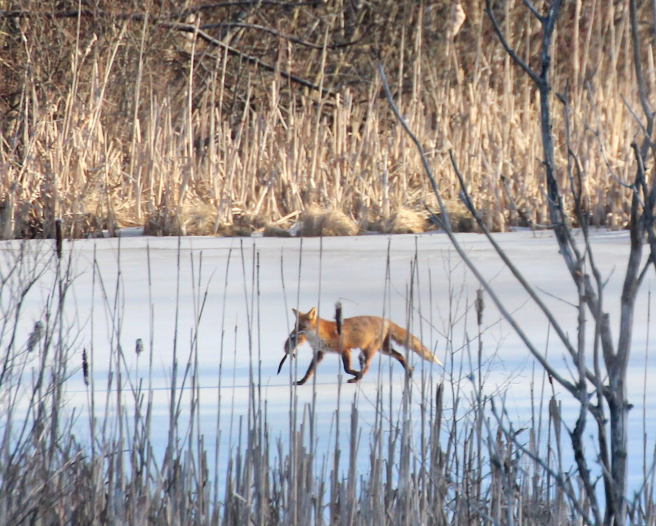 Valokuvaaja: Irja Lehtinen