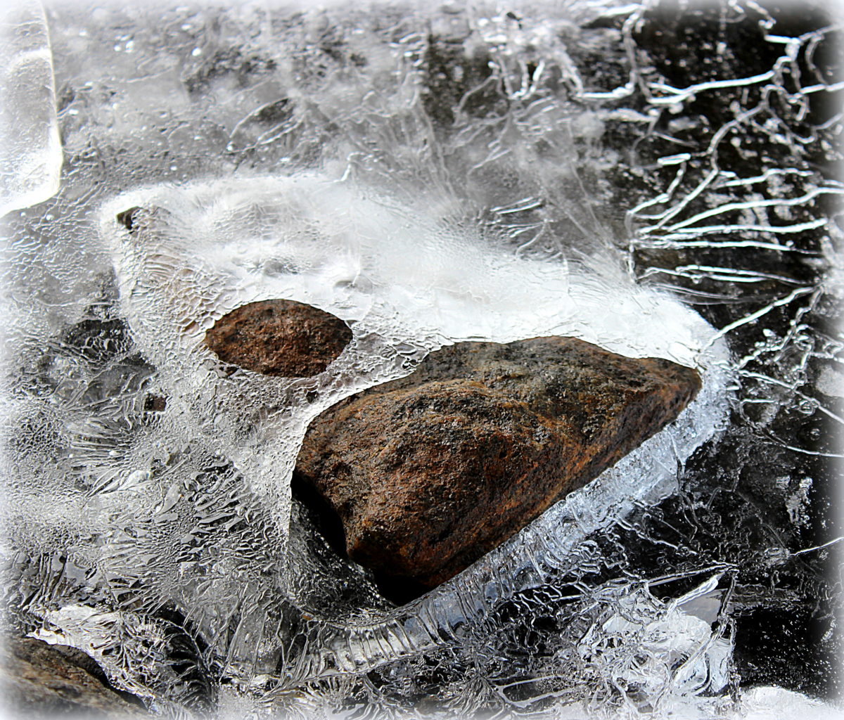 Valokuvaaja: Irja lehtinen