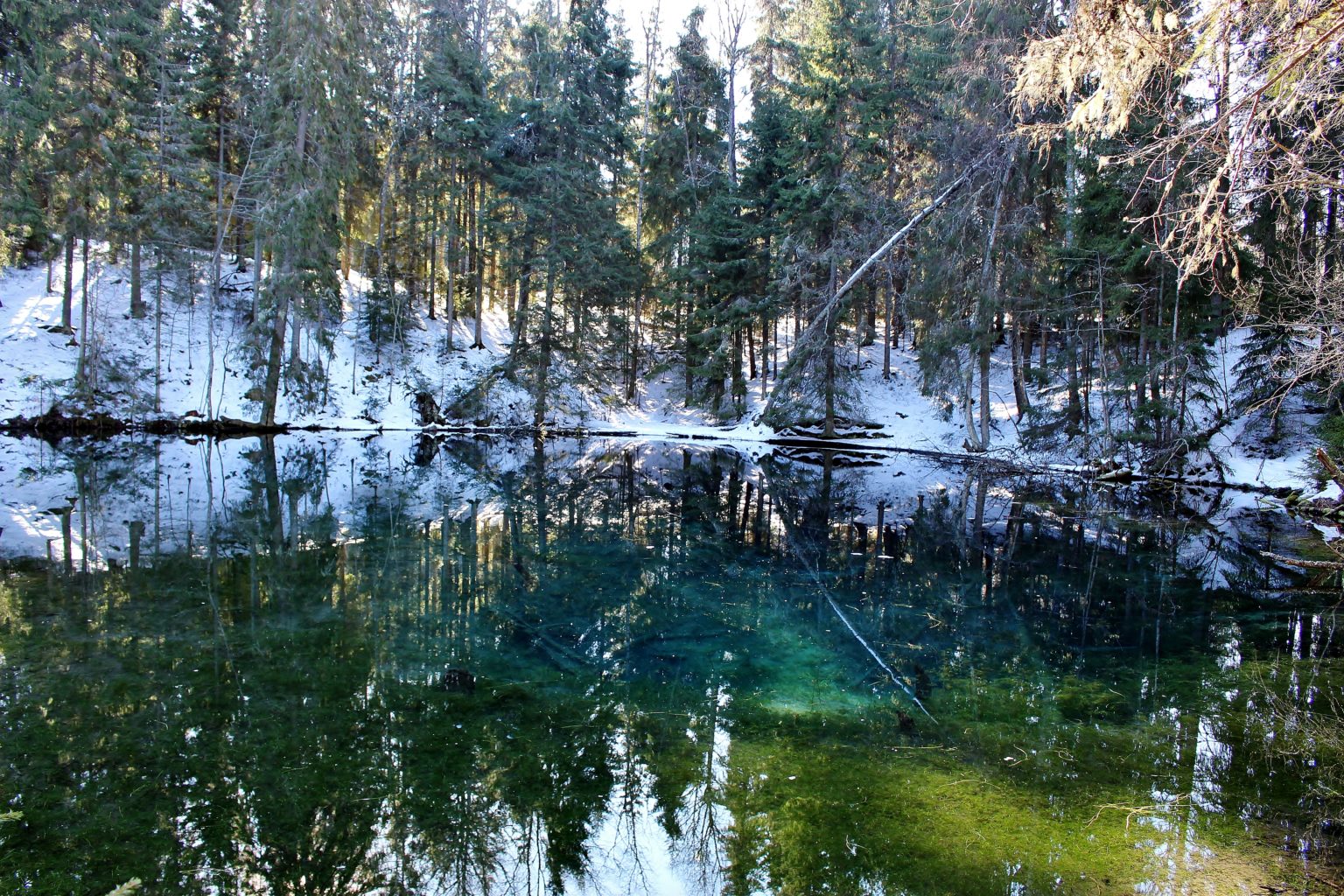 Valokuvaaja: Tuulikki Piikkilä