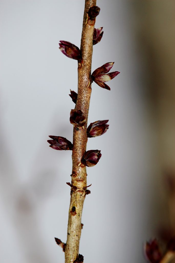 Valokuvaaja: Tuulikki Piikkilä