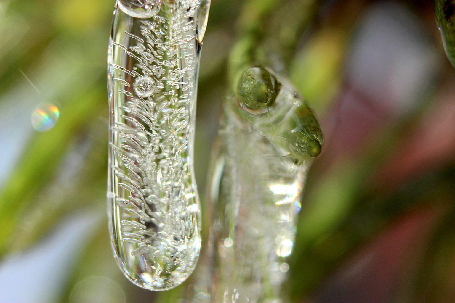 Valokuvaaja: Irja lehtinen