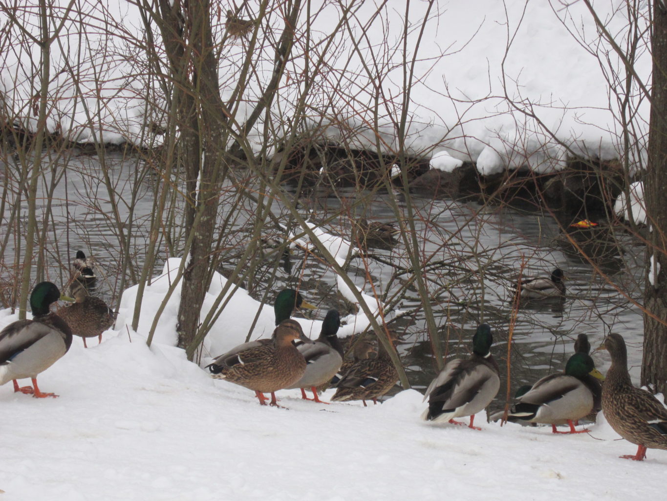 Valokuvaaja: Hannu Rissanen Valokuvaaja: Hannu Rissanen