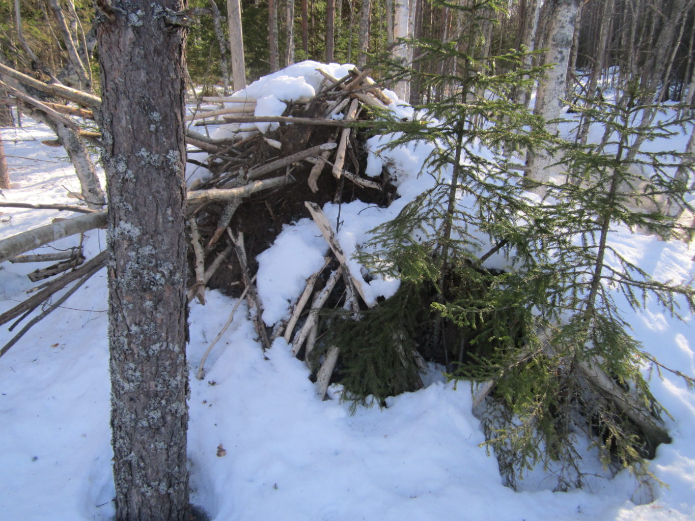Valokuvaaja: Hannu Rissanen