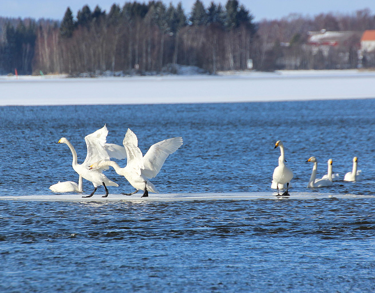 Valokuvaaja: Irja Lehtinen
