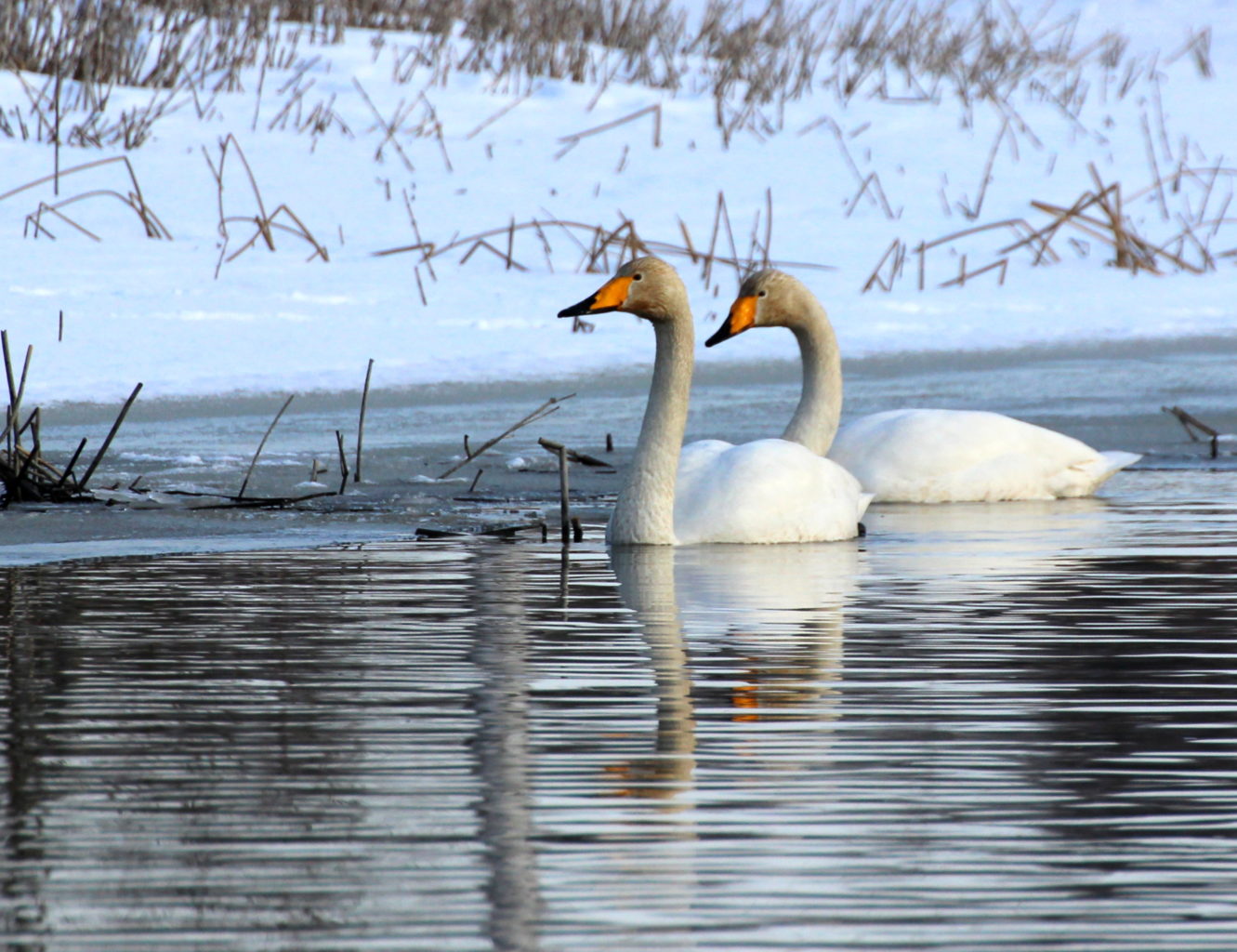 Valokuvaaja: Irja lehtinen