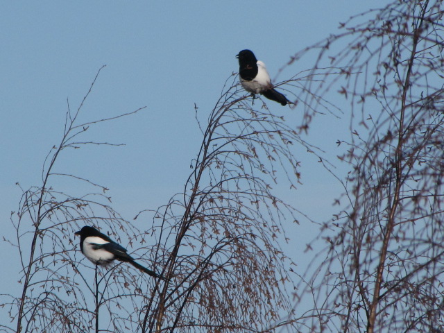 Valokuvaaja: TUULA MAKKONEN