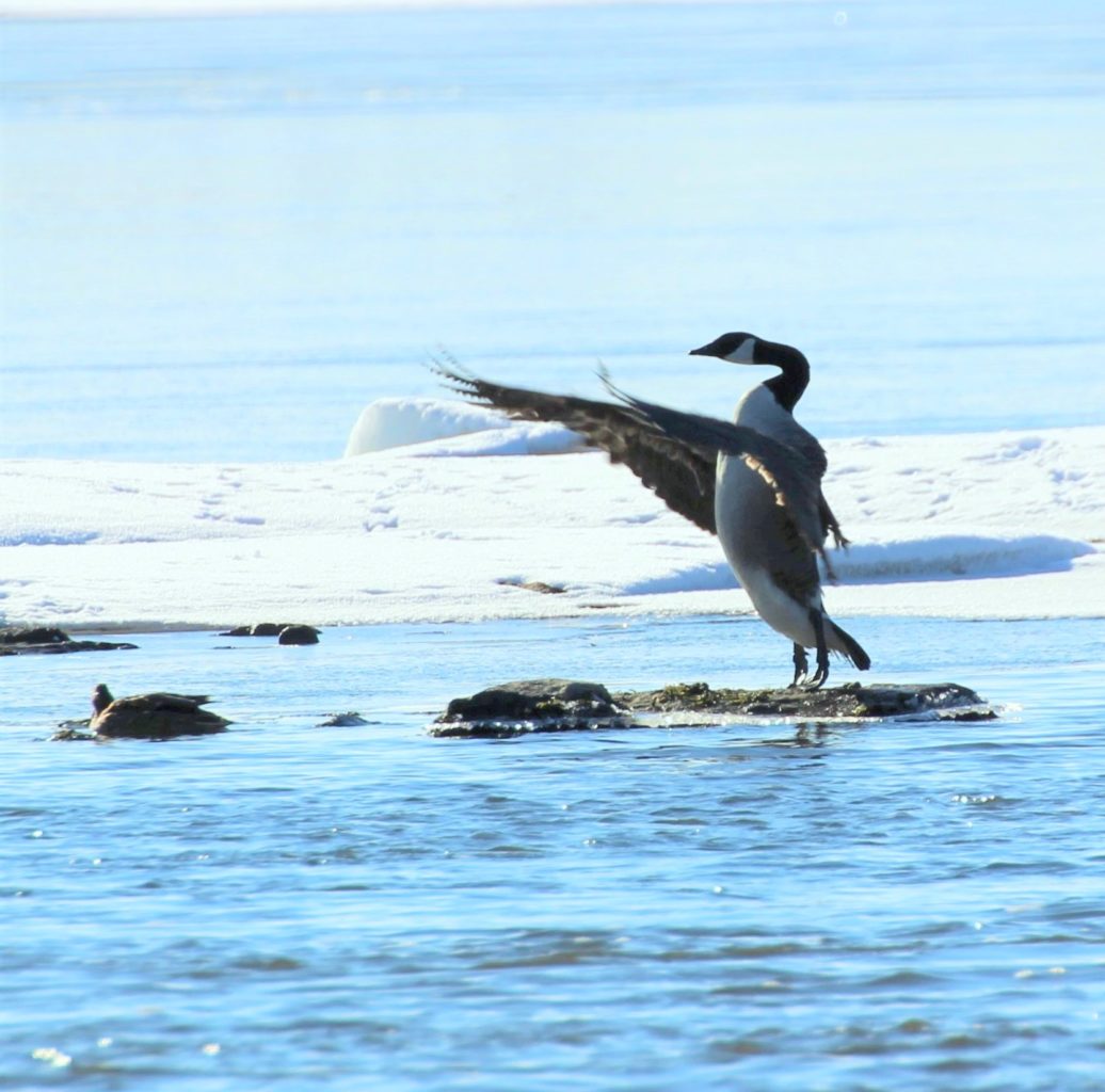Valokuvaaja: Irja lehtinen