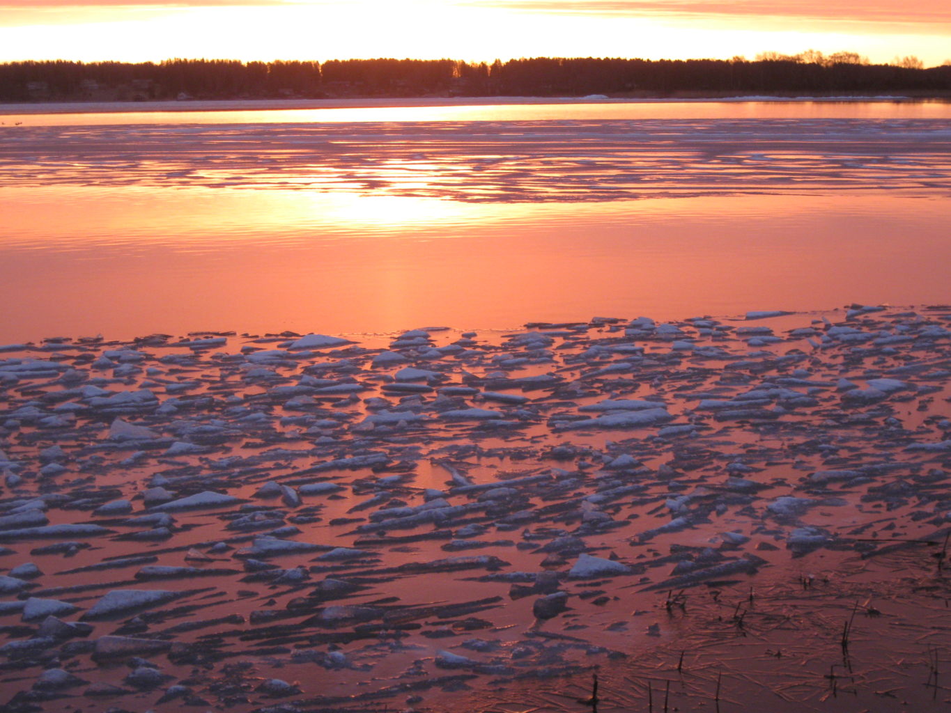 Valokuvaaja: Rainer Åkerblom