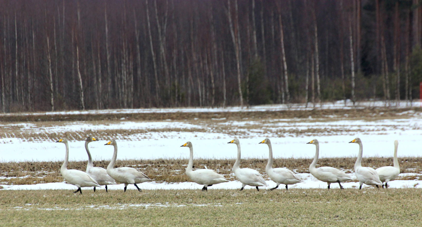 Valokuvaaja: Irja lehtinen