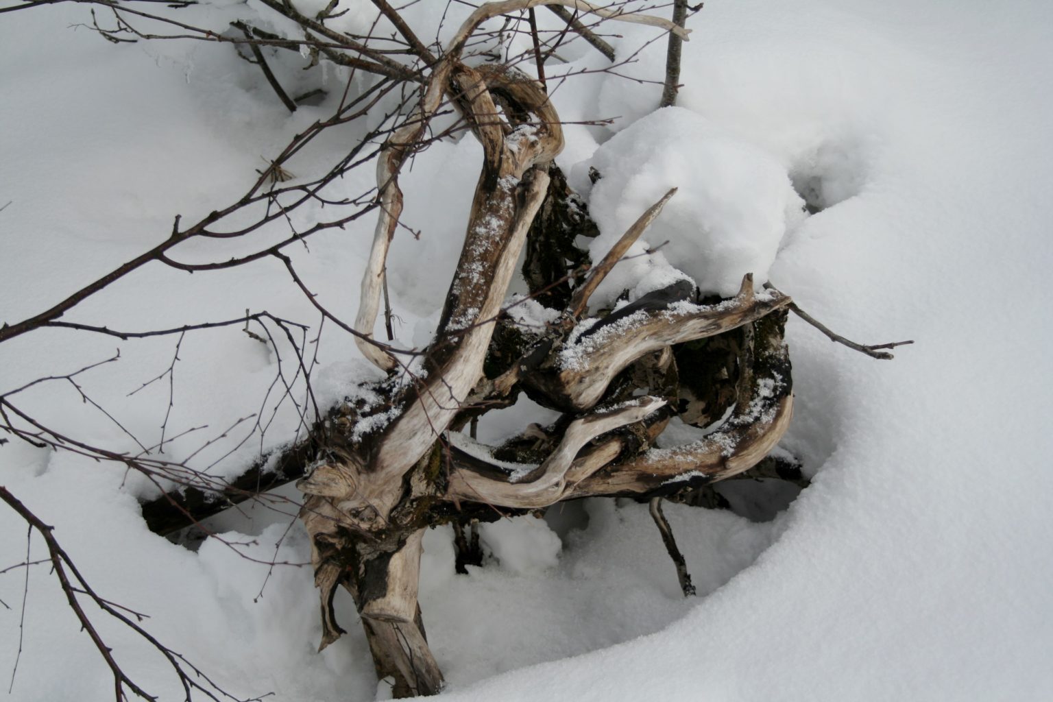 Valokuvaaja: Pirkko Siukonen Valokuvaaja: Pirkko Siukonen