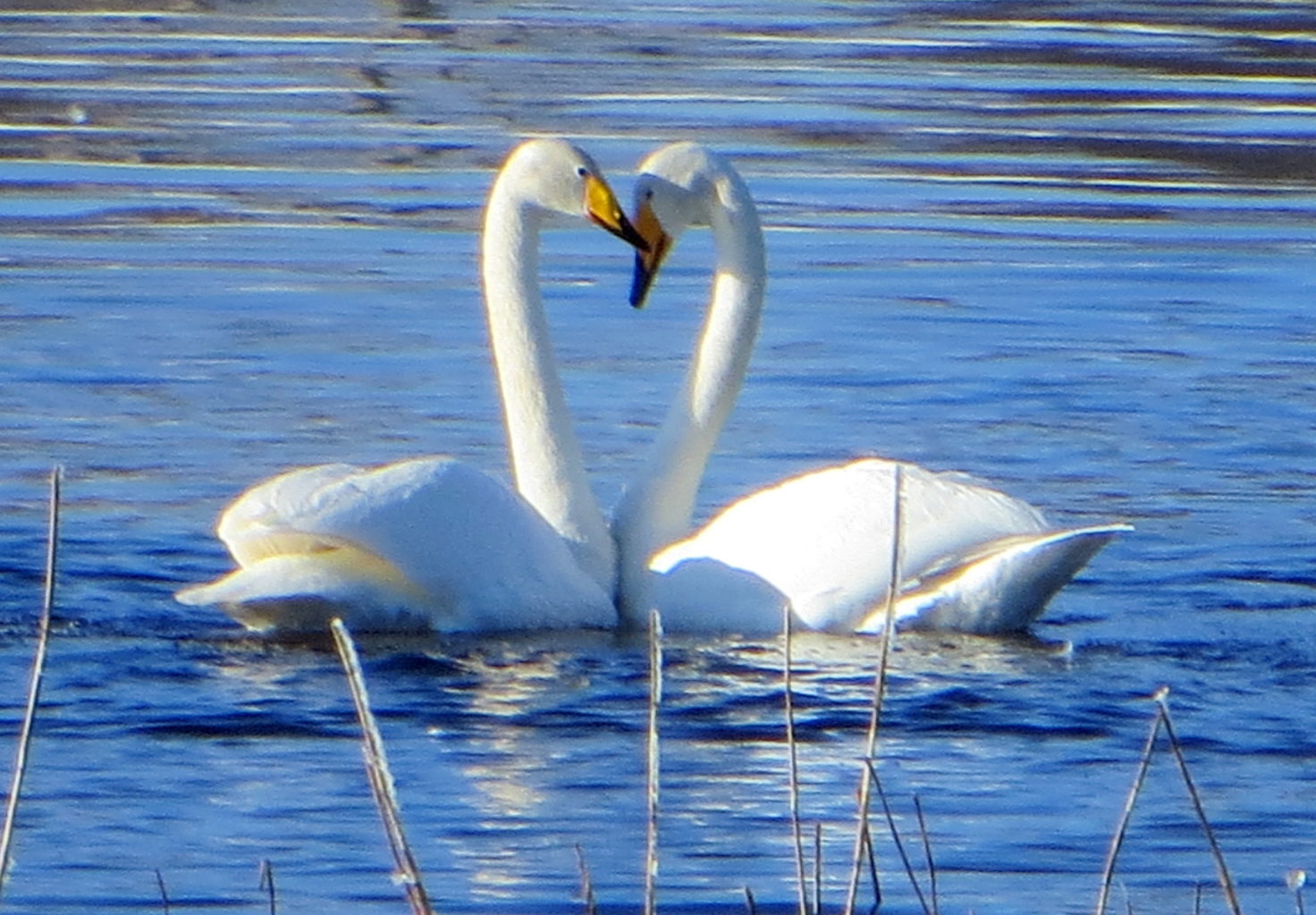 Valokuvaaja: Sirkka Ruotoistenmäki