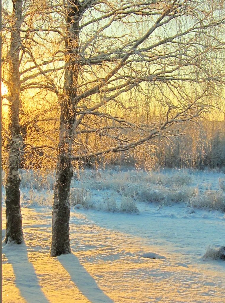 Valokuvaaja: PirkkoLiisa Hautamäki