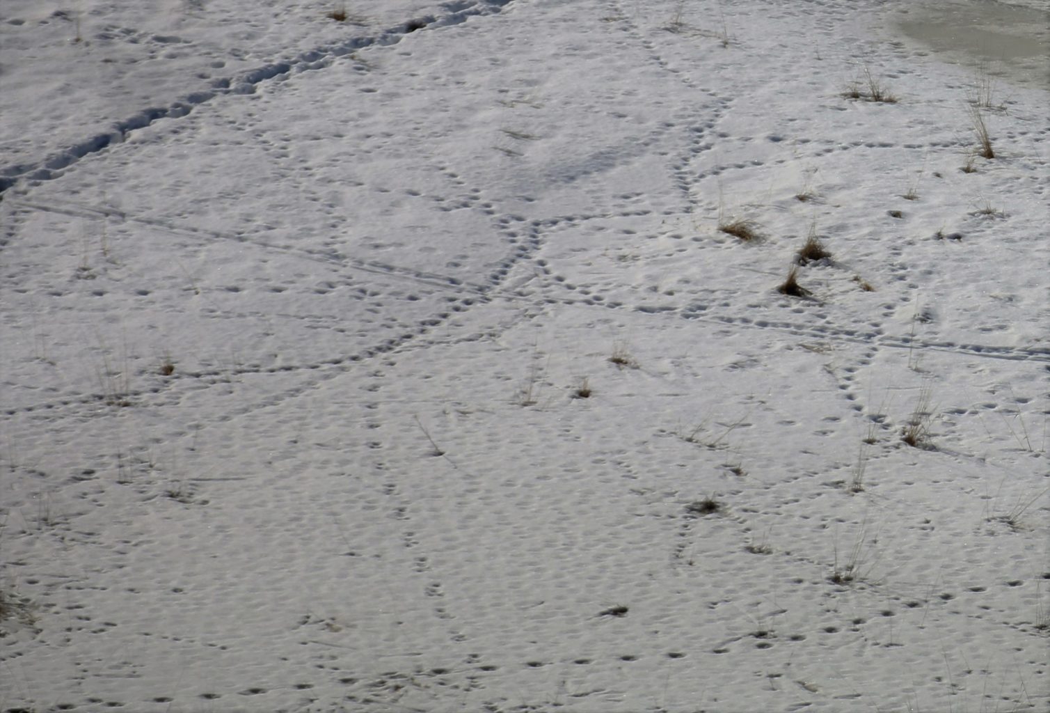 Valokuvaaja: Vesa Grekula