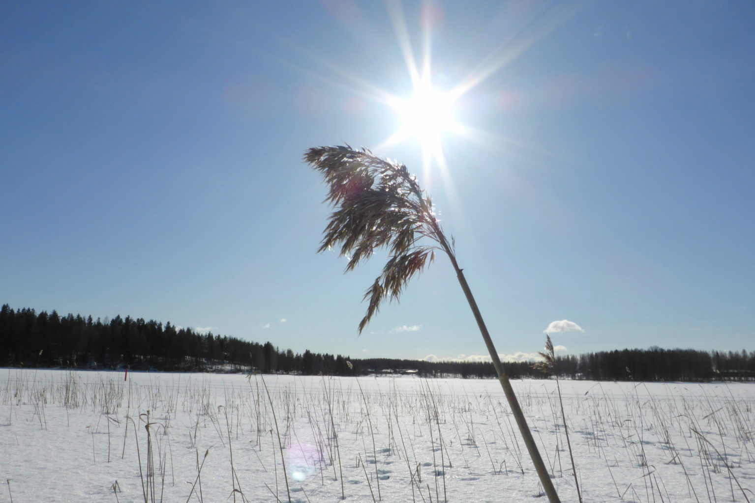 Valokuvaaja: Kalle Asikainen
