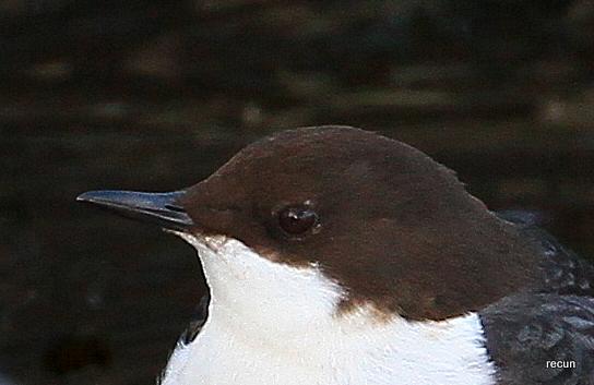 Valokuvaaja: reijo lehtonen Valokuvaaja: reijo lehtonen