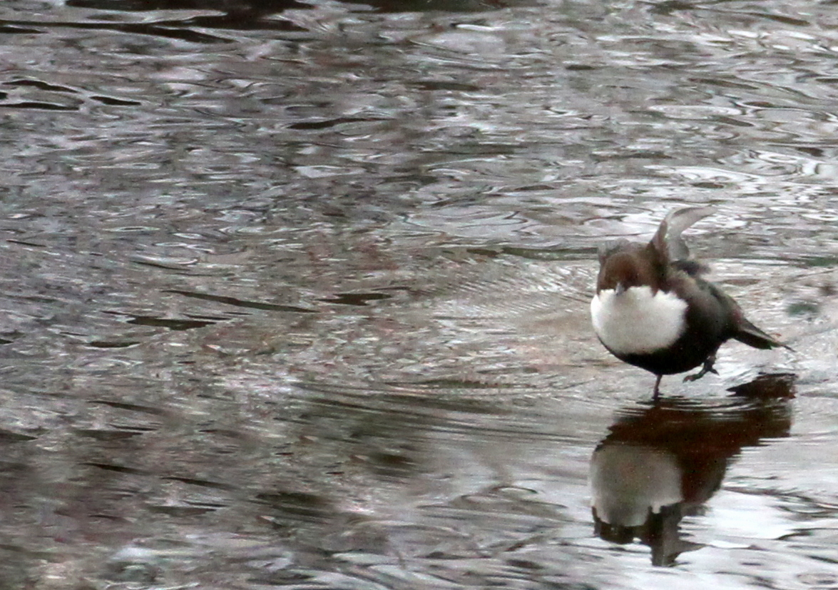 Valokuvaaja: reijo lehtonen