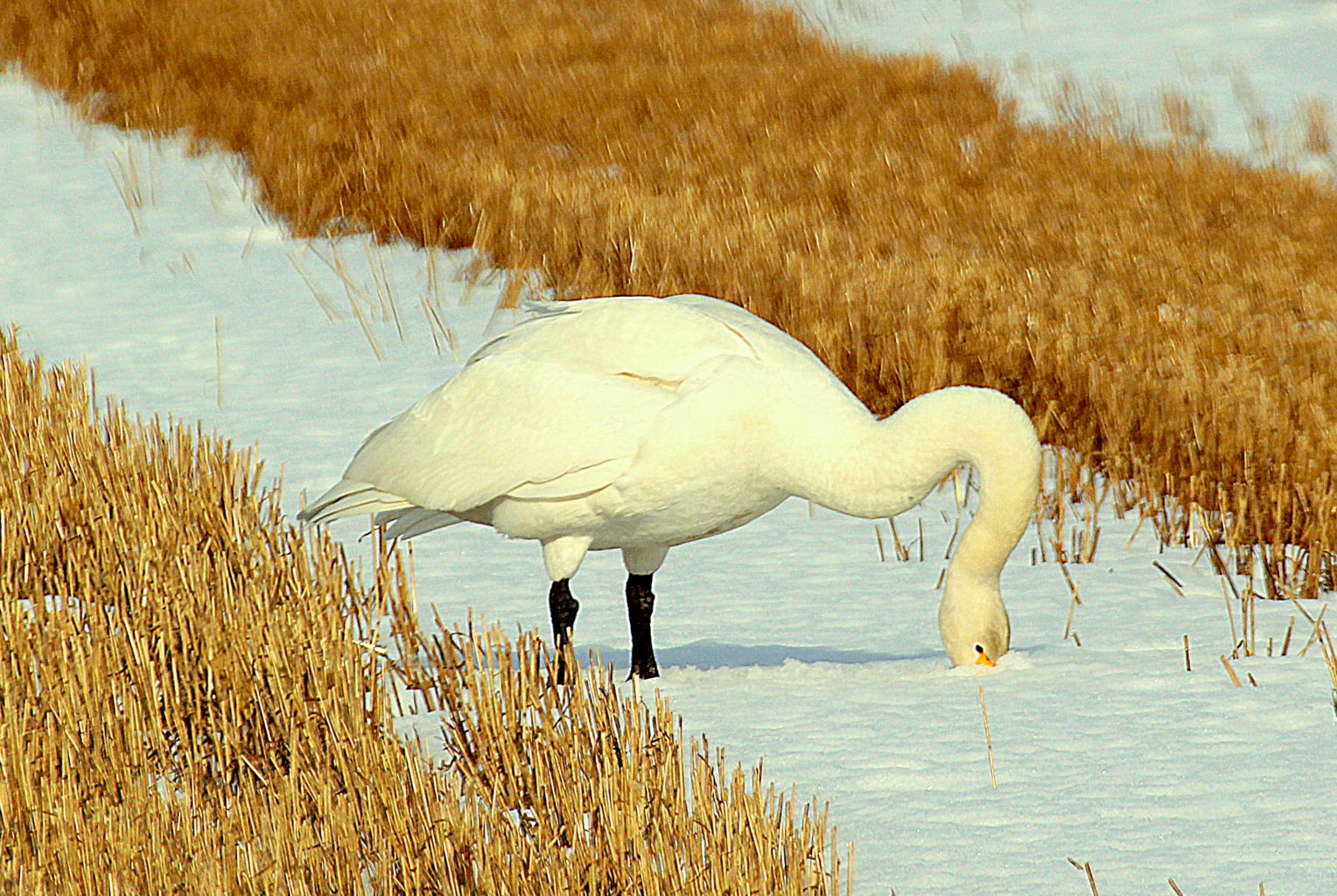 Valokuvaaja: Sirpa Jyske