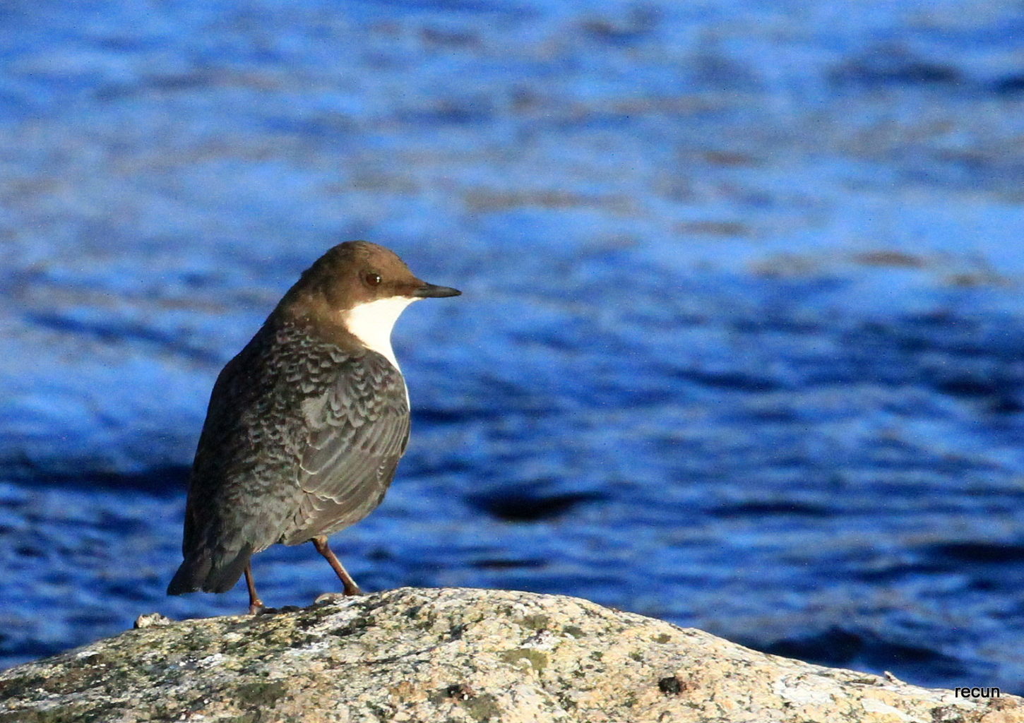 Valokuvaaja: reijo lehtonen