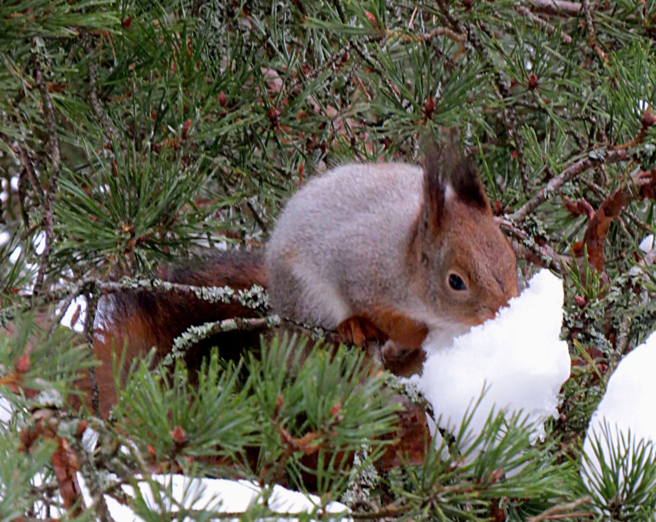 Valokuvaaja: Jaana Talvinen