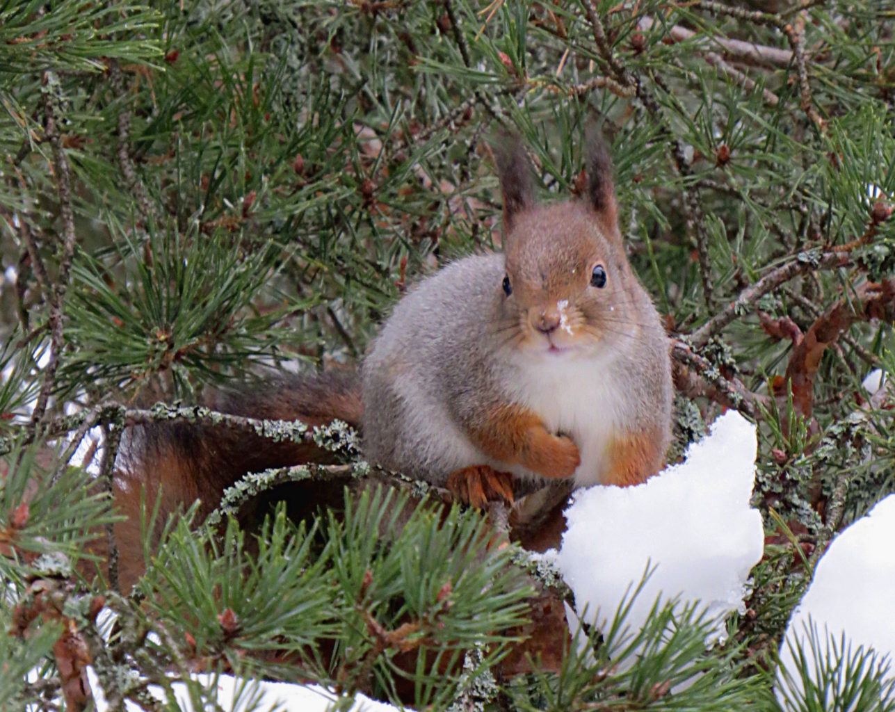 Valokuvaaja: Jaana Talvinen Valokuvaaja: Jaana Talvinen