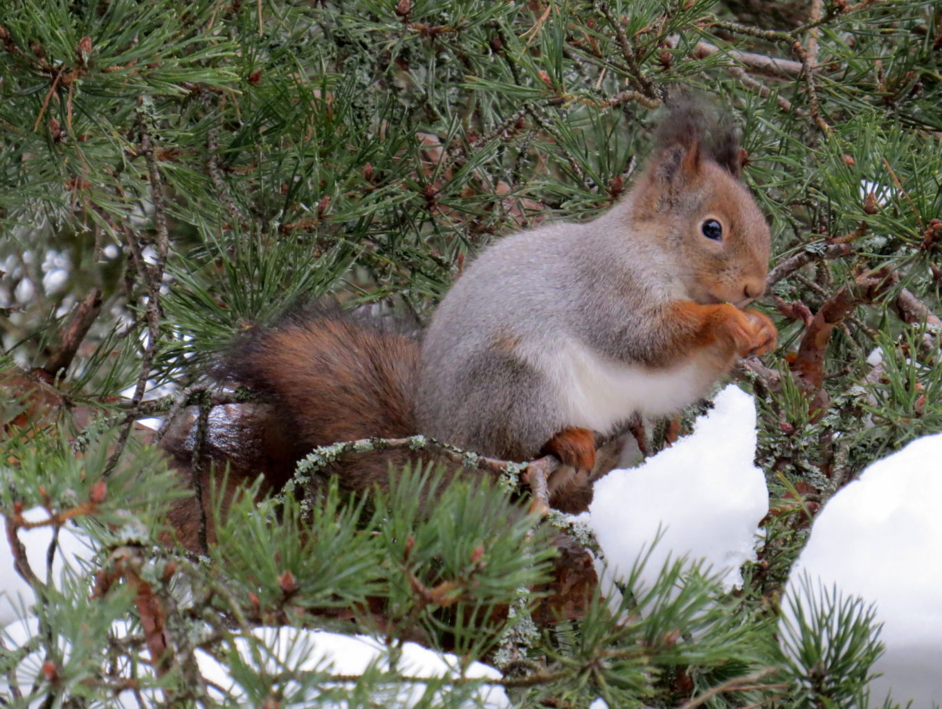 Valokuvaaja: Jaana Talvinen Valokuvaaja: Jaana Talvinen