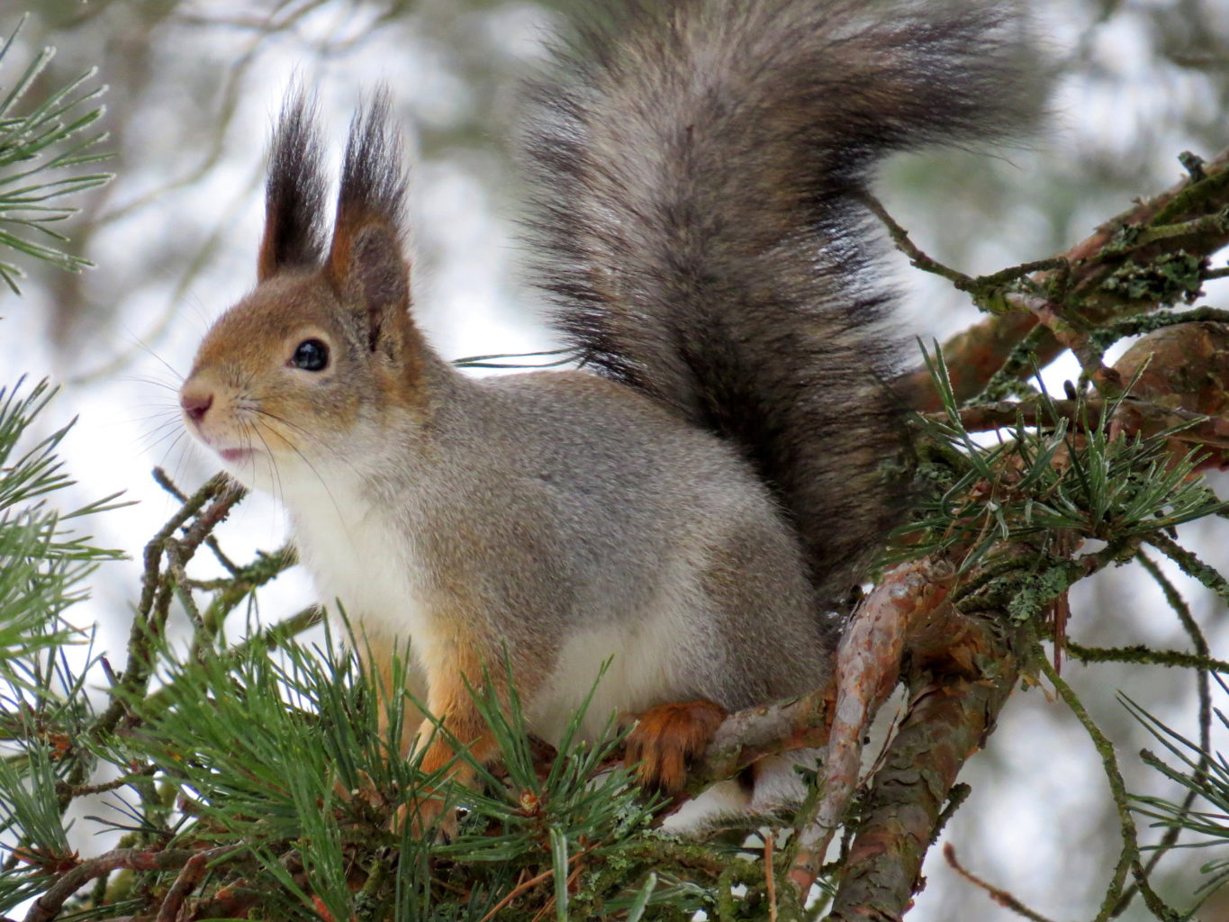 Valokuvaaja: Jaana Talvinen Valokuvaaja: Jaana Talvinen