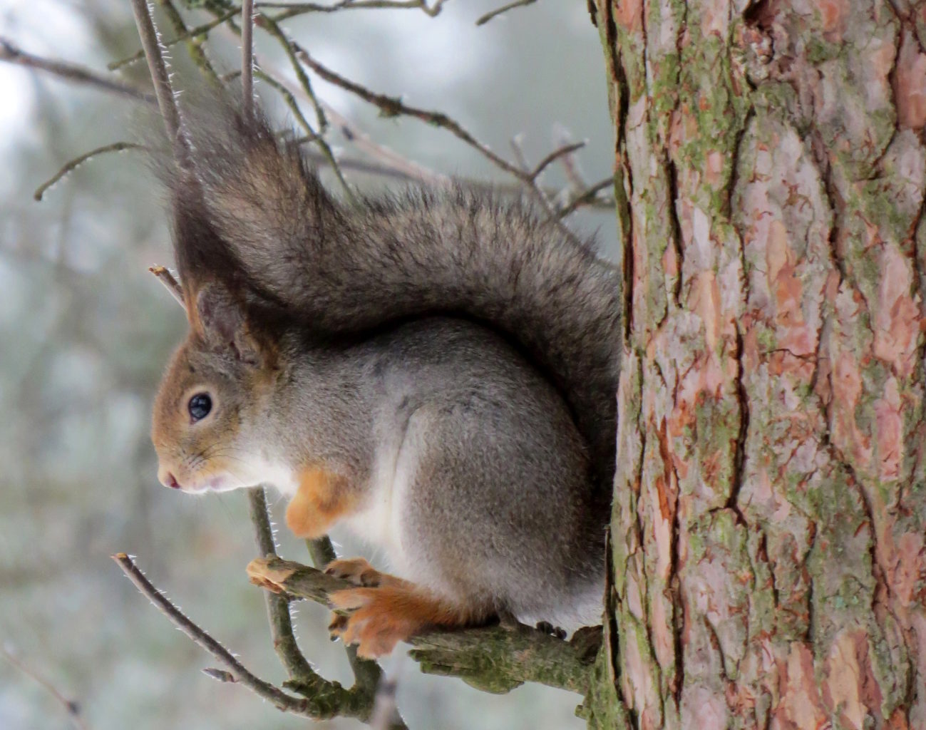 Valokuvaaja: Jaana Talvinen
