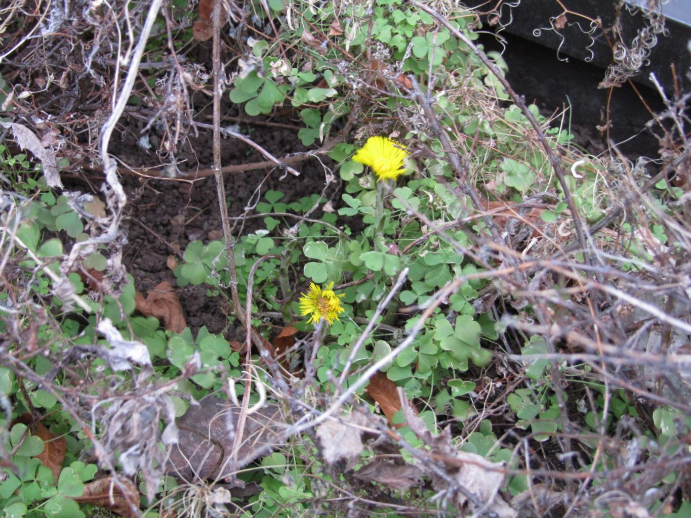 Valokuvaaja: Jouni Uski Valokuvaaja: Jouni Uski
