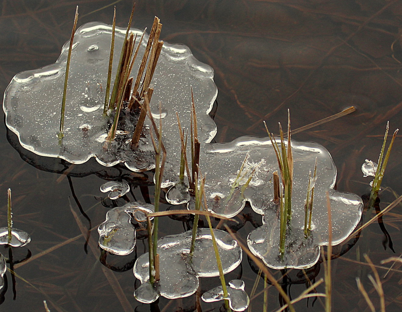 Valokuvaaja: Sirpa Jyske