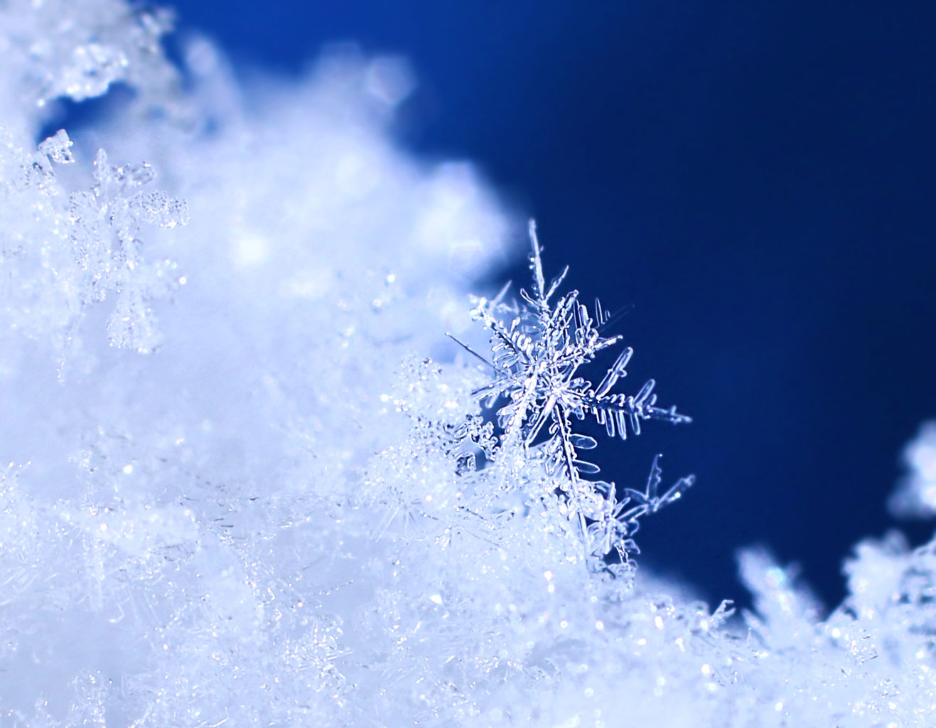 Valokuvaaja: Tarja Porkkala