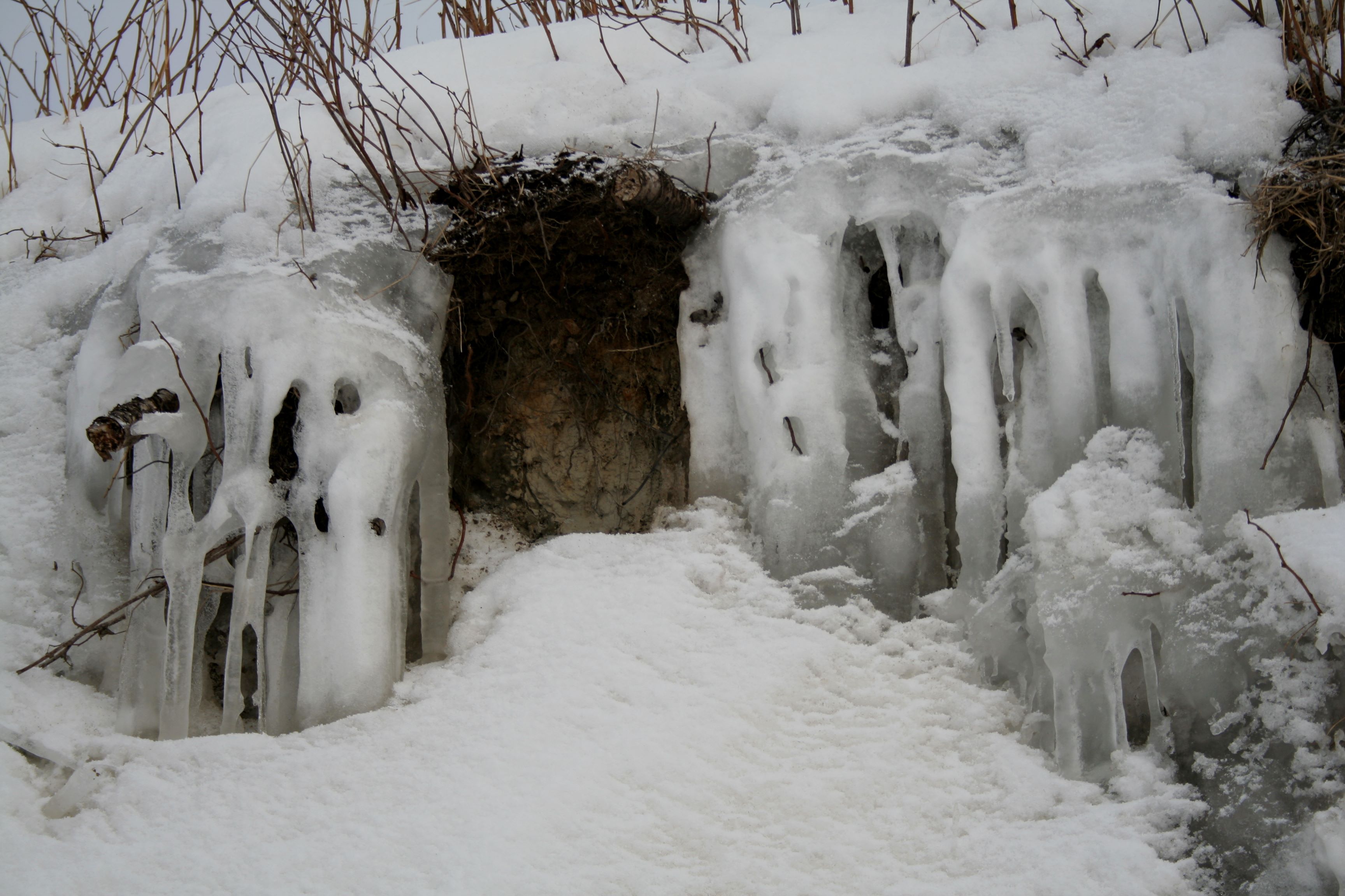 Valokuvaaja: Pirkko Siukonen