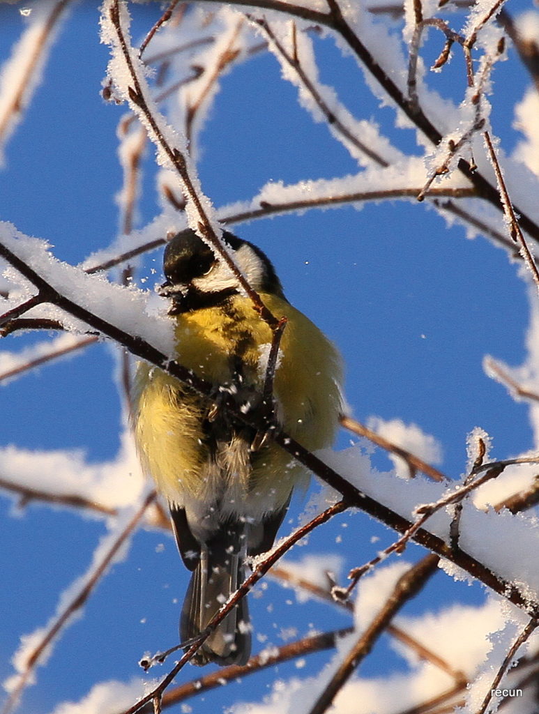 Valokuvaaja: reijo lehtonen