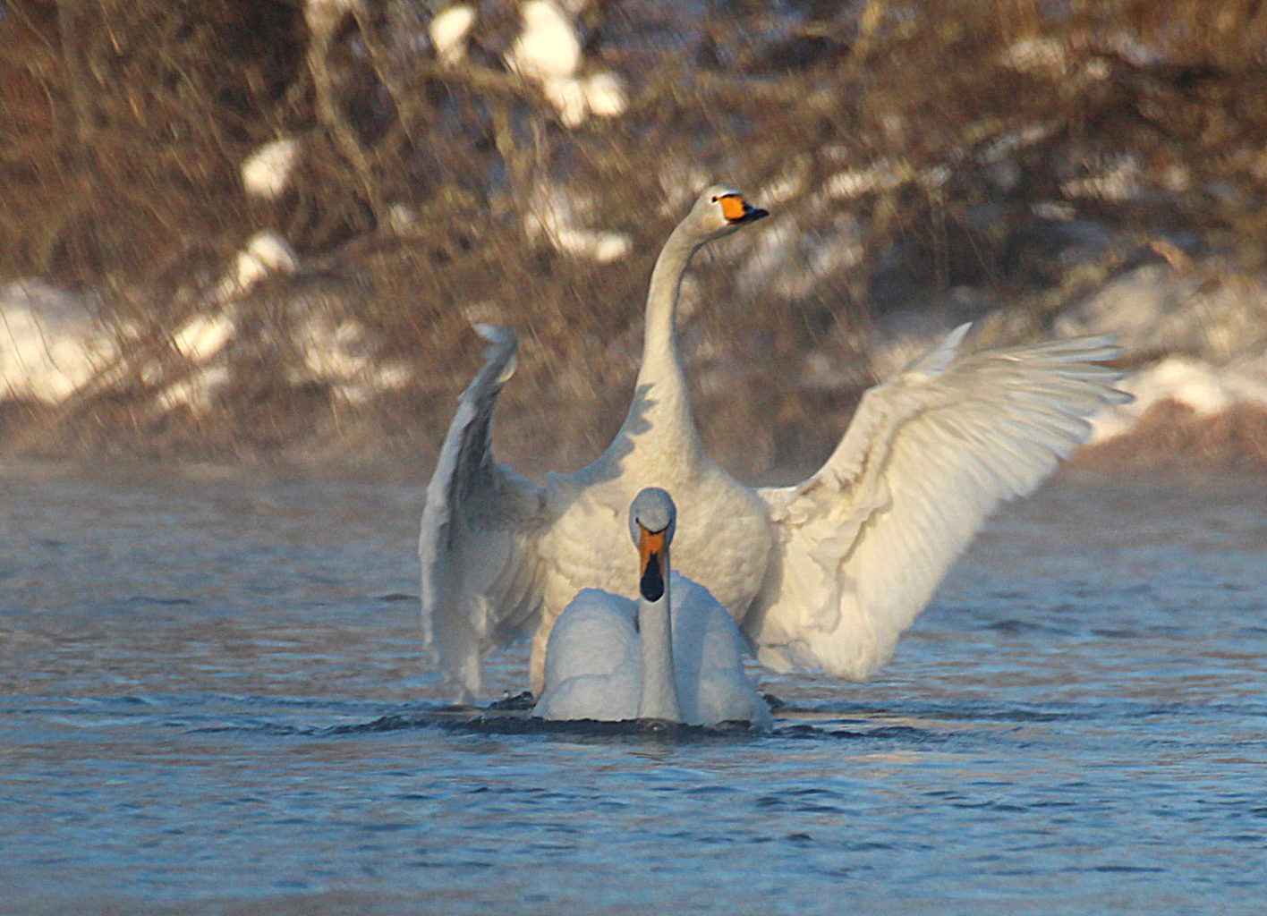 Valokuvaaja: Sirpa Jyske