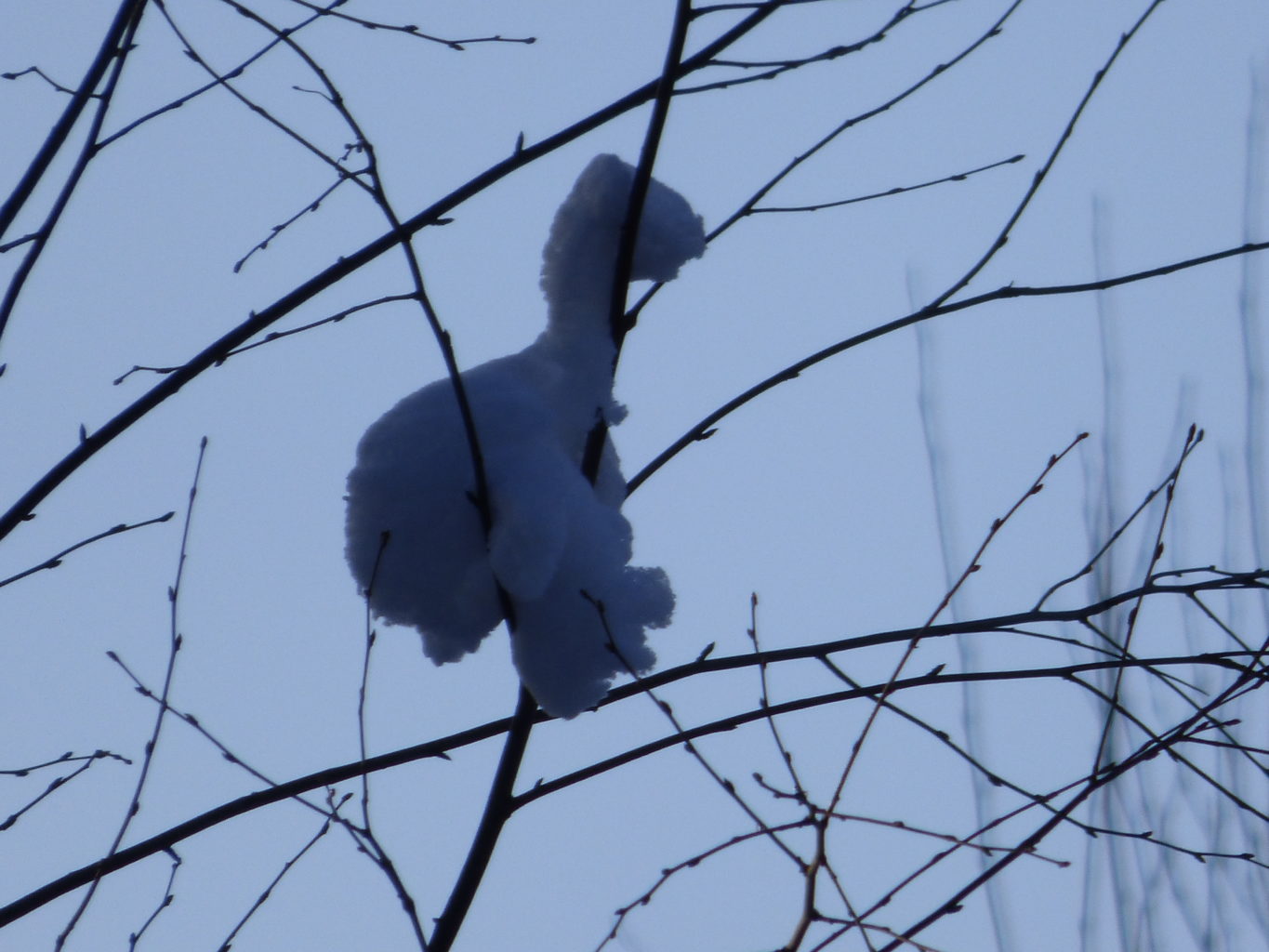 Valokuvaaja: Hannu Rissanen Valokuvaaja: Hannu Rissanen