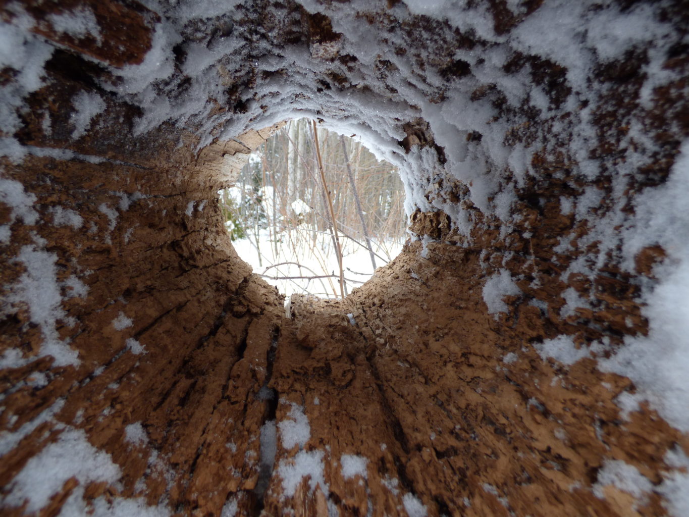 Valokuvaaja: Hannu Rissanen